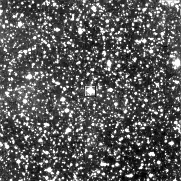 V402 Cyg Field